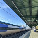 라루엘라 | [핫플:부산광역시] 동아대 부민캠퍼스 브런치먹기 좋은 핫플, 라루엘라 카페 방문 후기