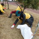 가롤로의 집 이미지