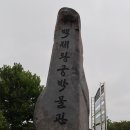 김삼룡