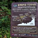 울릉마리나관광호텔 이미지