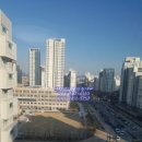 디자인동은 네이버블로그