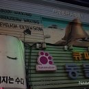 큐피트동물병원 이미지