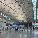 플루메리아 민박 | [신혼여행 첫 번째] 하와이 신혼여행 5박 7일 중 1일차(아시아나항공, 사전좌석 구매, OZ232 레그룸...