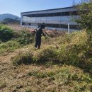 세움 태양광발전소 이미지