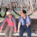 금식농장 이미지