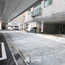 청명에이스 이미지