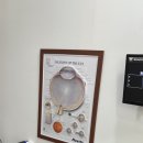 으뜸크리닝 | 김포 걸포동 한강메트로자이1단지 2층, 으뜸플러스안경 김포걸포점 방문후기