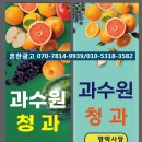 과수원청과 이미지