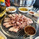 제주도로담 이미지