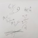 서귀포여자중학교 이미지