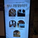 하이원 팰리스호텔 | 강원도 정선 하이원 팰리스호텔 스탠다드 트윈 숙박 후기, 셔틀버스, 운탄고도 케이블카 후기