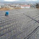 LH 부동산중개사무소 이미지