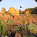 너른마당 이미지