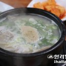 [당찬 맛집을 찾아서] (175) 서귀포시 성산읍 `백년손님` 이미지