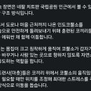 민가에 내려온 코뿔소 안전하게 구조 이미지