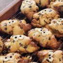 전북대 &#39;몽레브&#39; 디저트 맛집 내 돈 내산 후기