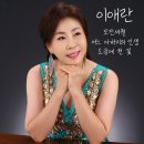 어느 아버지의 인생 / 이애란 이미지