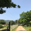 산청승마장 이미지