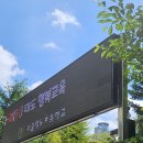 푸르지오1차 104동 앞 횡단보도 | 손품발품33편- 횡세권 인프라 최강 도곡동 대장 아파트 도곡렉슬 임장기