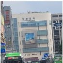 세계로공인중개사사무소 이미지