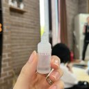 제주허브동산 | [제주허브동산🌿] 제주 동쪽, 표선 갈만한 곳/ 애견동반 가능 관광지/낮에도, 밤에도 가기 좋은 곳