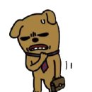영어회화(초급) 이미지