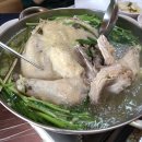 두메토종닭 이미지