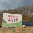 능안농장 Daum카페