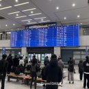 서울동방관광㈜ 이미지