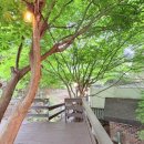 청양농협대치지점 이미지