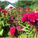 병풍산 등산로 입구 이미지