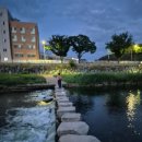 백천생고기 이미지