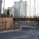 노블공인중개사사무소 이미지