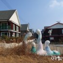 섬사랑펜션민박 이미지