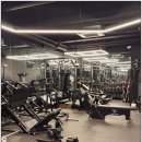 마이티핏 이미지