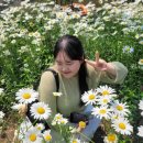 과랑펠롱민박 제주커플가족독채 | 🇰🇷 제주도 라면여행기 1탄