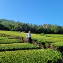설록원 - 경주시 중앙로34번길 7 | 설록원