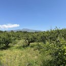 토평동-2 이미지