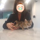 제이제이캣 이미지