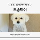 뽀송 | 은평구 응암역 새로 생긴 애견미용실·데이케어·호텔 ㅣ 뽀송데이 방문 후기