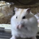 홍.낙.제 이미지