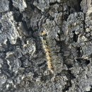 산업로-5 이미지