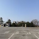 평화유통 | 파주 임진각 DMZ 평화 안보 관광 통일촌 뚜벅이 여행 이용방법 후기 정리