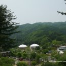 전행농장 네이버블로그