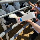 배울목장 이미지