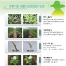 흥농팜아그로 이미지