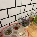 임이네식당 | 방콕 프롬퐁역 로컬식당 | 임자이 타이푸드 33 현지인맛집?! 내돈내산 후기 (메뉴, 위치)