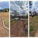 참살이조가비촌 이미지