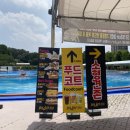 도그베이 이미지