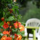 옥수수민박 이미지